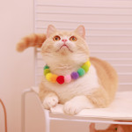 Cat Color Ball Collar Dog Hair Ball Collar Chain