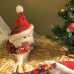 Christmas Limited Bow Plush Shawl Pet