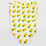 Fruit Green Leaf Pet Scarf Drool Towel