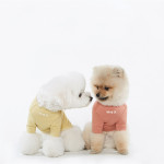 Pet Korean Simple Printed Clothes