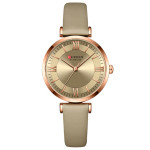 Watch Fashion Ladies Quartz Ladies Watch