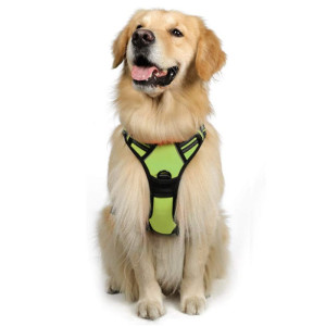 Large Dog Vest Leash For Dogs