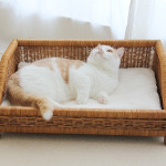 Hand-woven Cat Bed Scratch Resistant Four Seasons Universal Litter Sofa