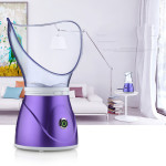 Anion facial steamer