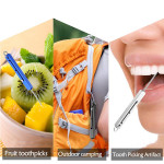 Outdoor Portable Square Titanium Alloy All-in-one Multi-function Toothpick