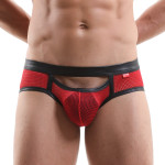 Men's Hollow Back Double Thong Underpants