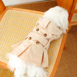 Autumn And Winter Pet Dress Teddy Bear Kitty Small And Medium-sized Dog Bulgari Clothes