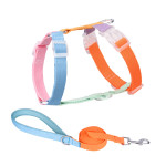 Color Matching Pet Leash Anti Breakaway