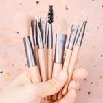 Simple Soft Hair Makeup Brush Set