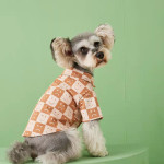 Pet Fadou Checked Denim Shirt