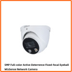 English Version 5 Million Full Color POE Network Camera