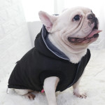 Thickened Vest Padded Jacket Pet Vest