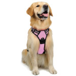 Large Dog Vest Leash For Dogs