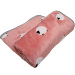 Cartoon Printed Thickening Pet Blanket Flannel Coral