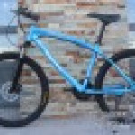 BMW Cross Country Mountain Bike Double Disc Brake