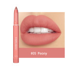 Not Easy To Fade Matte Lipstick Pen