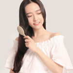 Portable Mini Wet And Dry Air Cushion Comb