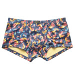 Gingko Leaf Printing Large Size Men's Boxers