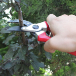 Horticulture electric pruning machine