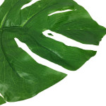 Simulation Turtle Leaf Sunflower Leaf