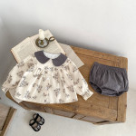 Infant Flower Printed Long-sleeved Top Two-piece Pants