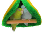 Hammock bird nest