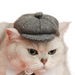 Pet Cat Gentleman Beret Tie Photo Props