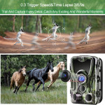 HC801A hunting camera