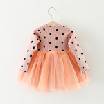 Foreign Children 2021 Years Of Foreign Trade Explosion Of Baby Cotton Long Sleeved Dress Korean Princess Dress Girls.