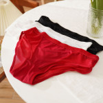 Women's Briefs Low Waist Mesh Pure Color Transparent Underwear