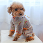 Pet Transparent Waterproof Rainbow Poncho