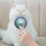 Pet Hair Removal And Cleaning Comb