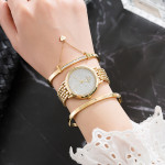 Brand Exquisite Frosted Starry Steel Band Watch Wild Diamond Hypoallergenic Bracelet Watch Combination