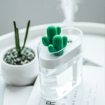 Transparent Cactus Humidifier