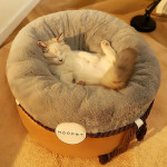 Closed Solid Color Pet Warm Cat Nest