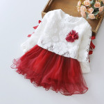 2021 New Summer Girl Dress, 1-2-3 Years Old Virgin Baby, Long Sleeve Princess Skirt, Baby Skirt