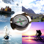 Compass for Plastic Movement