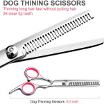 Stainless Steel Pet Scissors