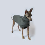 Italy's Small Lingti Whitby Bellington Clothes Rocking Fleece Dog Thickening Warm