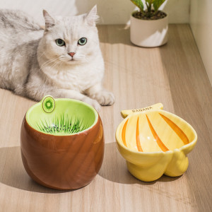 Cat Bowl Protects Cervical Vertebra From Overturning