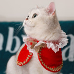 Pet Cat Clothes King Cape Lace Collar