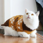 Autumn And Winter Clothes British Short Blue Cat Sweater