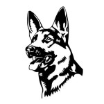 Reflective Hunting Dog Alsace Shepherd Bumper Stickers