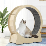 Cat Wheel, Cat Treadmill, Exercise Wheel, Cute Cat Furniture, Pet Toy, Cat Toy, Cats Loss Weight Device