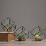 Oblique Square Small Glass Greenhouse Transparent Plant Flowerpot