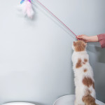 Fairy Feather Retractable Large Fluffy Feather Funny Cat Toy