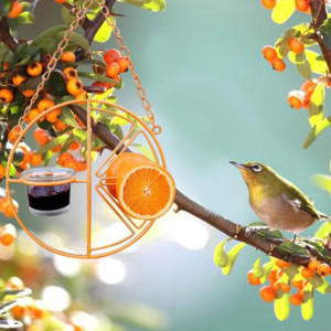 Hanging Metal Bracket For Outdoor Feeding Of Hummingbirds