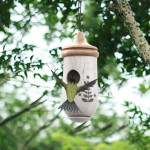 Wooden Hanging Hummingbird House Mini Nest