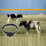 Cattle, Sheep And Horse Animal Husbandry GPS Locator Wireless Anti-theft Collar