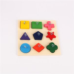 Parrot Training Toy 9 Color Wooden Blocks